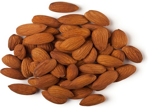 تصویر 1 از فروش بادام تلخ کوهی دیمی + قیمت ویژه